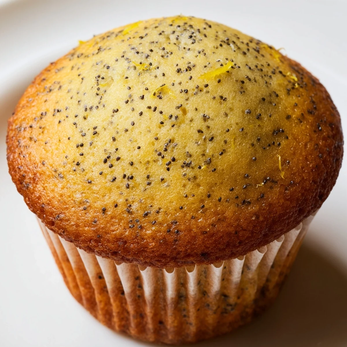 Golden lemon poppy seed muffins with domed tops fresh from the oven on a wire cooling rack